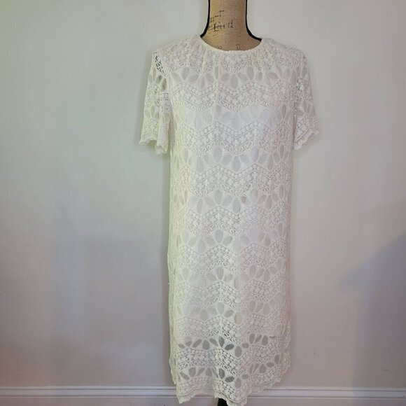 Zara Basic Collection Ivory Embroidered Lace Crew Neck Pullover Dress Large - Picture 1 of 10